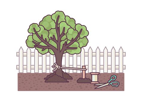 staking apple trees|How to Stake an Apple Tree: 9 Steps (with Pictures) .